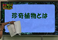 プランツワールド：学べて