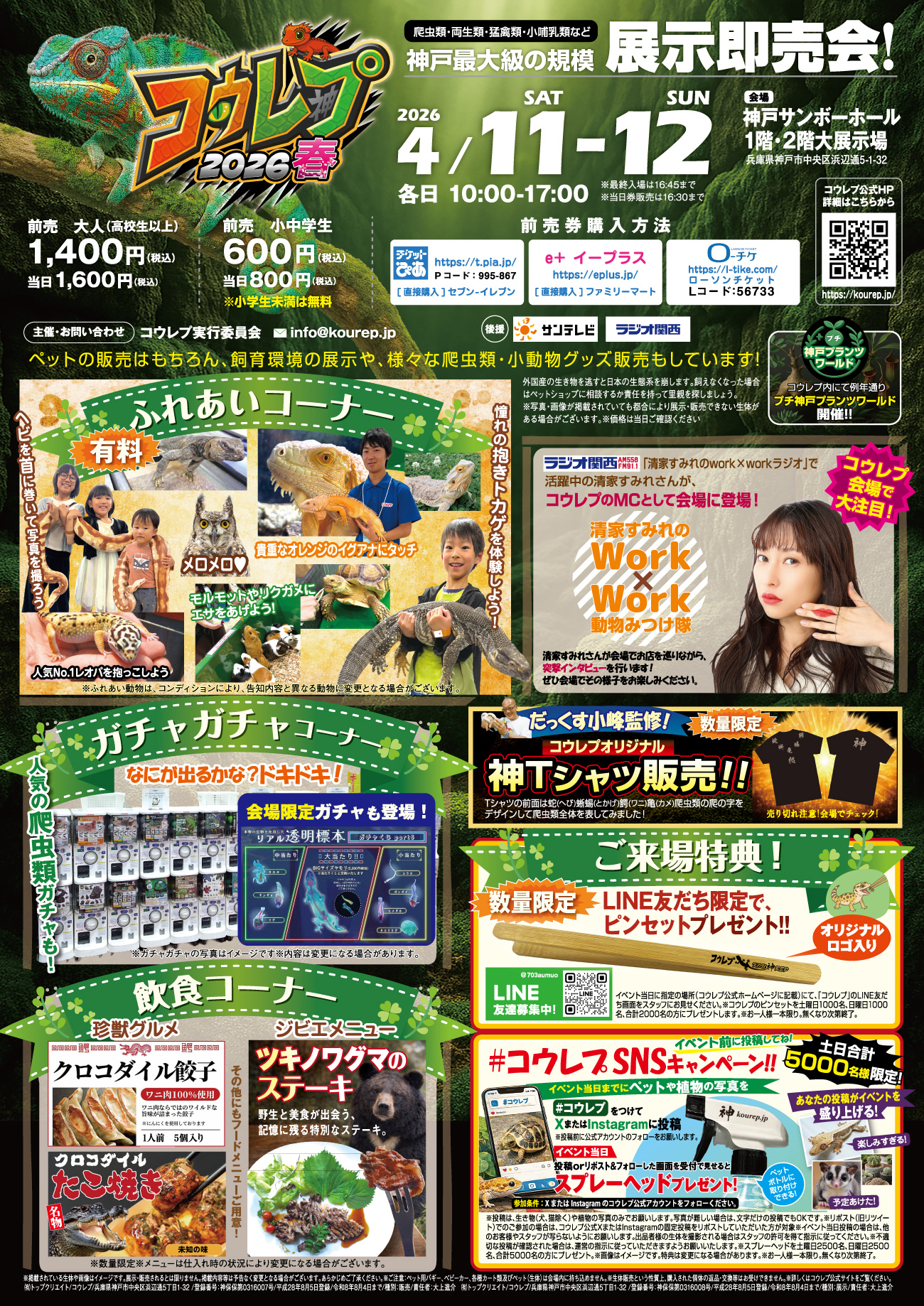 コウレプチラシ